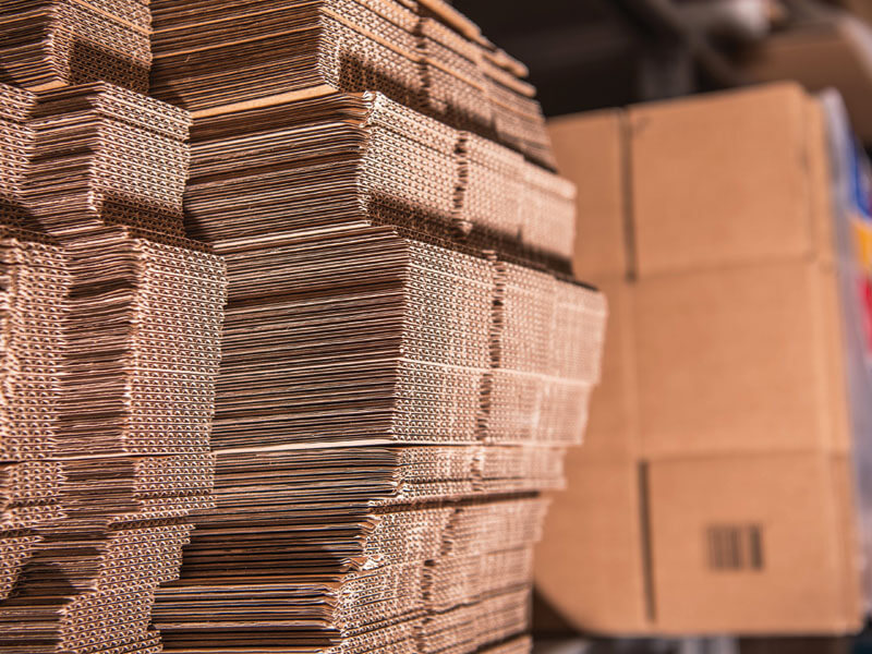 طراحی خلاقانه کارتن های نوین پک