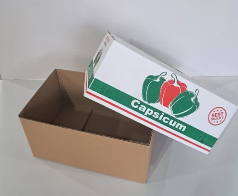 پوشش کامل محصول با کارتن تلسکوپی
