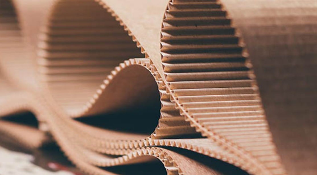 مقطع فلوت کارتن